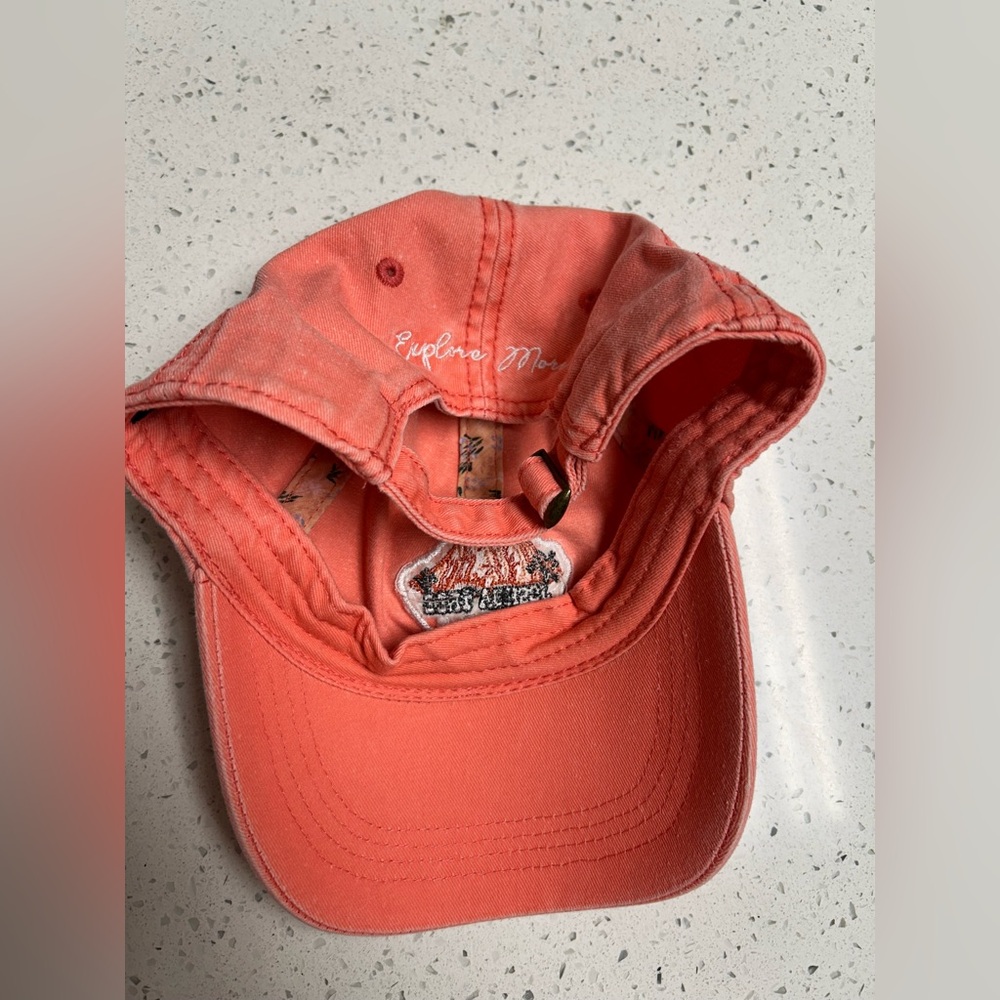 Joshua Tree Embroidered Cap - Picture 4 of 4